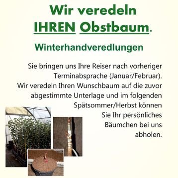 Wir veredeln Ihren Obstbaum