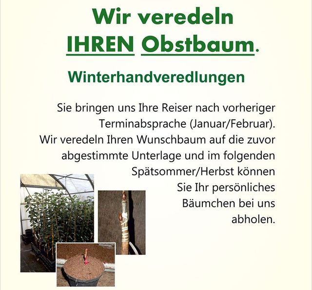 Wir veredeln Ihren Obstbaum