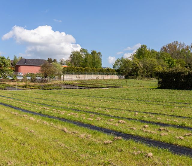 Baumschule Hinrichs