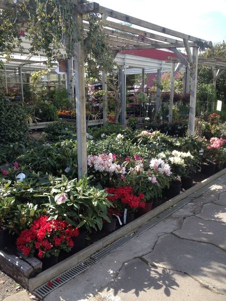 Impressionen Gartenbaumschule