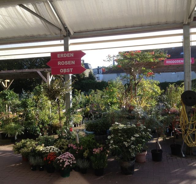 Impressionen Gartenbaumschule