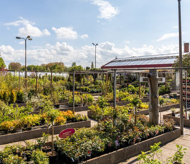 Hinrichs Gartenbaumschule